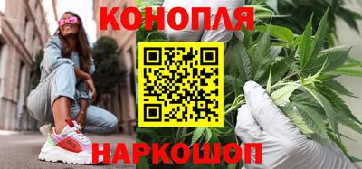 стаф Кунгур