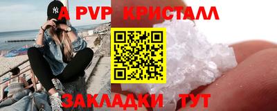 стаф Кунгур